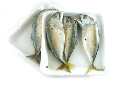 Mackerels steamed in a packの写真素材