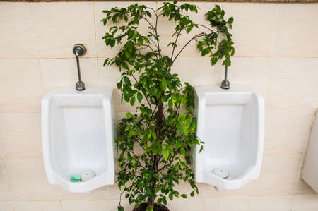 Interior of a public WC