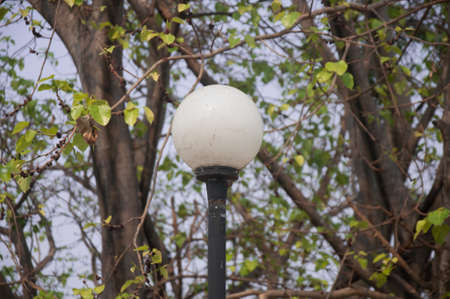 garden lamp on the background of treeの写真素材