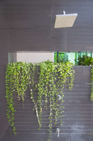 head shower water stream at swimming poolの写真素材