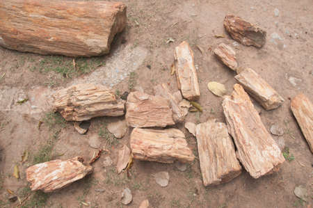 Many rocks on groundの写真素材