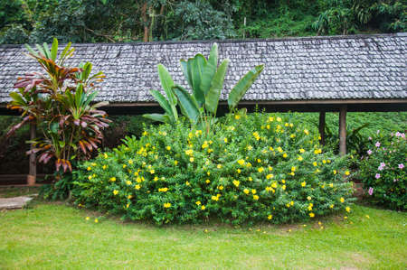 Beautiful Landscape Garden,Thailandの写真素材
