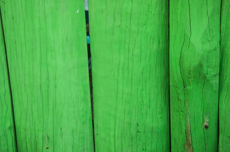Green Wood Background in homeの写真素材