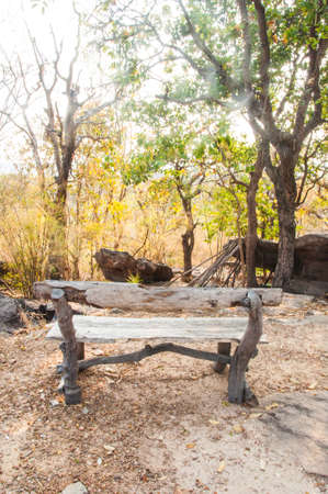 Wood chair at landscape, northeast of Thailandの写真素材