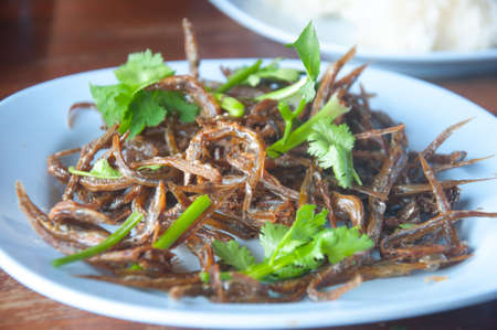 fried fish ,local Thai foodの写真素材