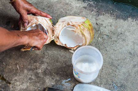 Grated organic coconut by old manの写真素材