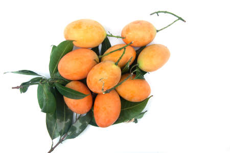 Closeup sweet Marian plum thai fruit isolated on white background (Mayongchid Maprang Marian Plum and Plum Mango,Thailand)の写真素材