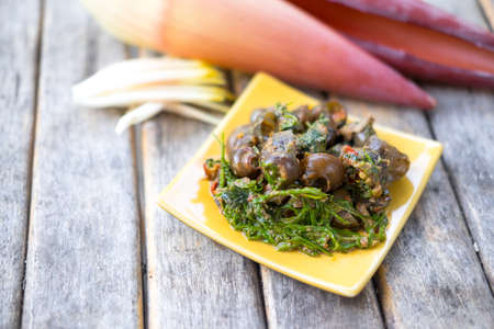 Curry Periwinkle delicious curry thai food, selected focusの写真素材