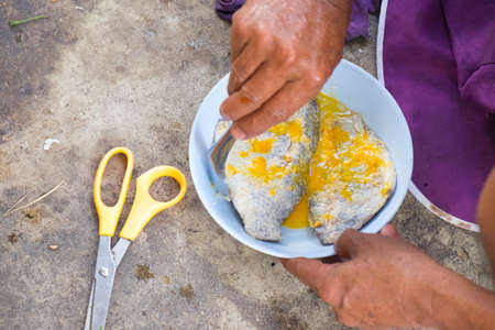 cooking Thai food : pickled fish with eggの写真素材