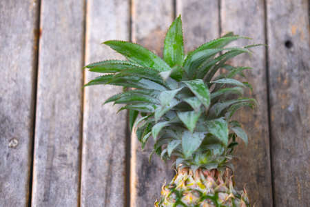 pineapple on wood backgroundの写真素材