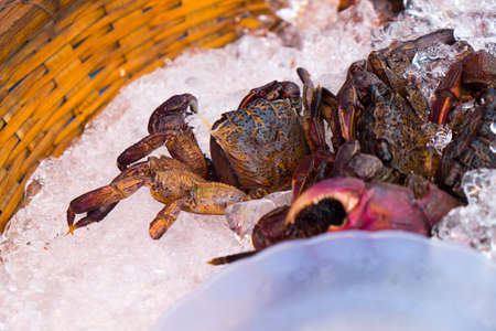 Raw black salty crabs in local market Thailandの写真素材