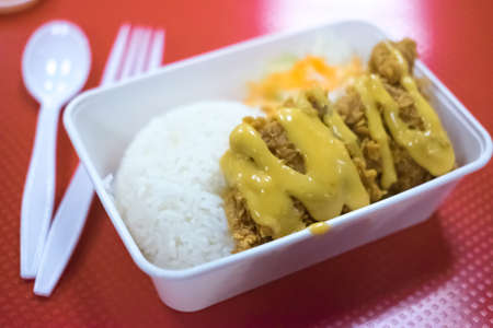 Fried chicken with sauce in food foam boxの写真素材