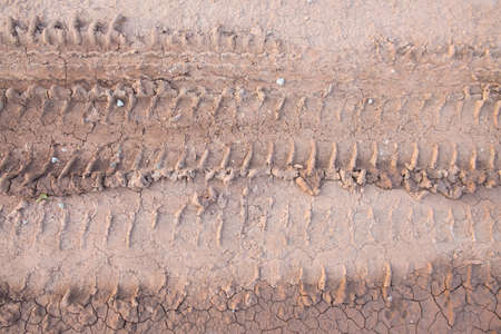 Tire mark in sandの写真素材