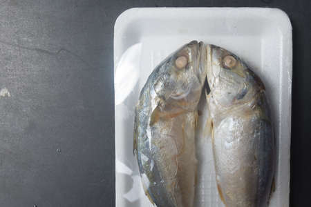 Two of steamed mackerel fish in foam trayの写真素材