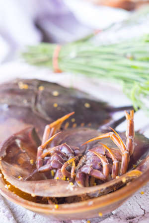 fresh horseshoe crab in market of Thailandの写真素材
