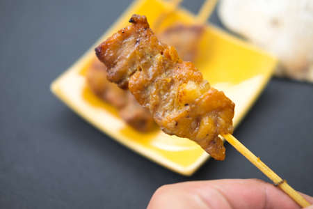 Pork barbecue in handの写真素材