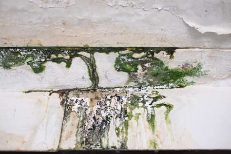 dark spots on white concrete wall, background texture.の写真素材