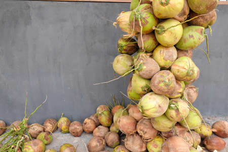 Pile of coconuts with bunches