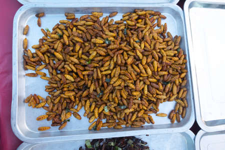 fired silk worm as snack in Asia countries ,Thailand local foodの写真素材