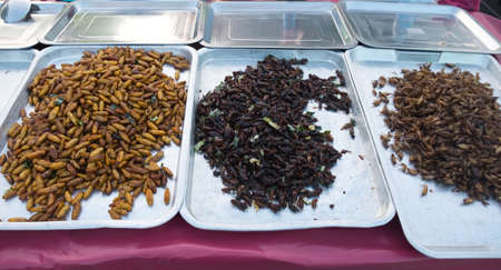 Fried insects, Exotic Asian food