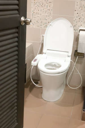 Hygienic and high technology of the toilet bowl, automatic flush toilet