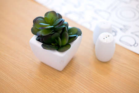 Indoor plant on wooden table decoration in table dinner