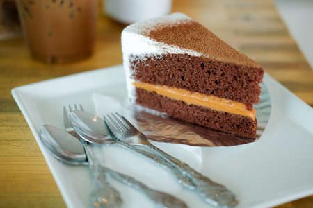 Delicious chocolate cake on white plateの写真素材
