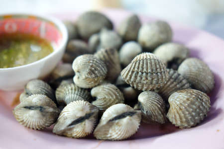 Delicious boiled or steamed cockles, Boil Blood Cockleの写真素材