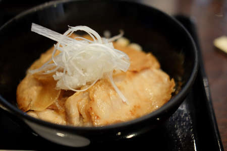 rice topped with sliced pork on black bowl - japanese foodの写真素材