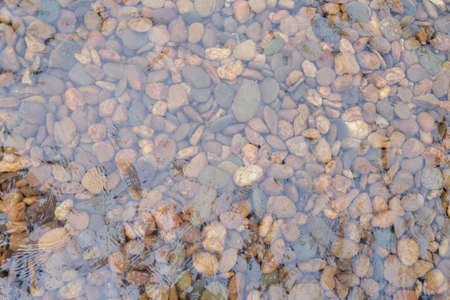 pebble stone in water, stone backgroundの写真素材