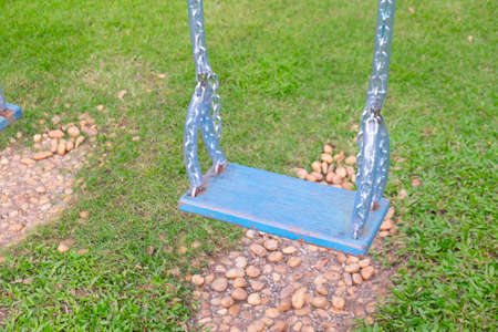 Empty wooden swing in a green park at the playgroundの写真素材