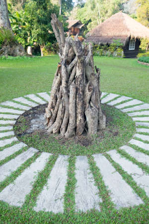 firewood in campfire, decoration in garden
