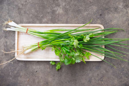 Fresh green onion and fresh coriander on wooden trayの写真素材