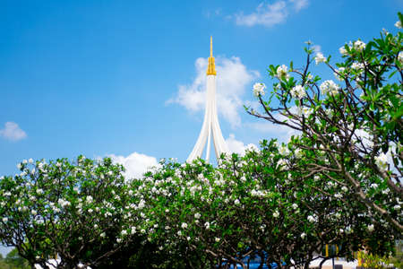Suanluang Rama IX The public park and the largest botanical garden in Bangkok, Thailand.の写真素材