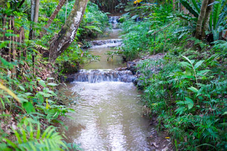 Close-up to small waterfall, beauty in nature
