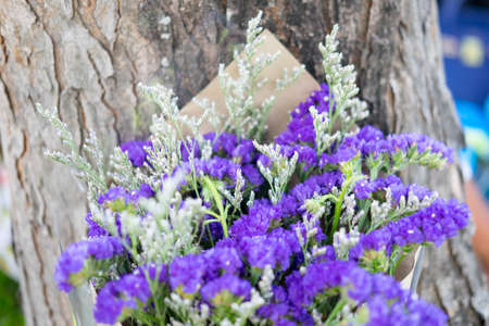 Small bouquet of dried flowers (statice, limonium)の写真素材