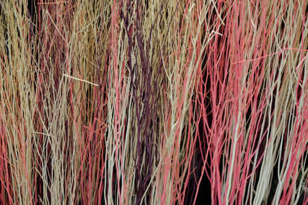 Beautiful dry branches texture background close-up. dried decorative in eventの写真素材