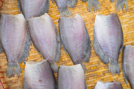 Dried salted gourami fish selling at Thai marketの写真素材