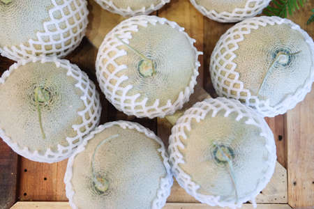 Melon sweet fruit available in the marketの写真素材
