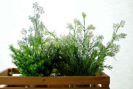 Artificial plant decoration in home or decoration in coffee shopの写真素材