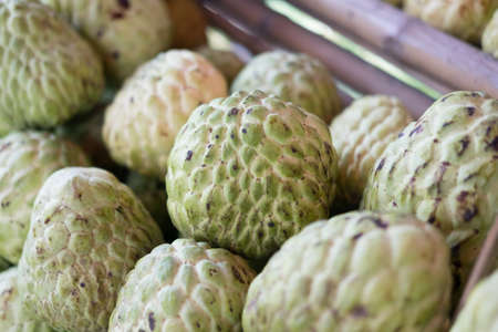 Fresh Custard apple fruit in Thailand market