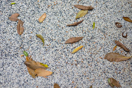 Dry leaf on stone ground, nature background