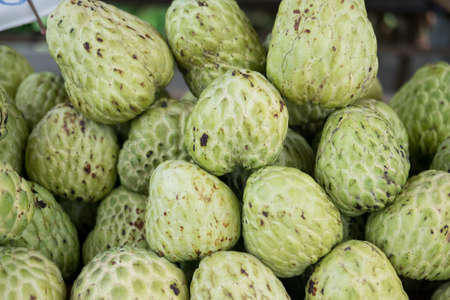 pattern of custard apple sell in Thailand marketの写真素材