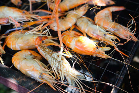 Grilled shrimp or easy BBQ grilled shrimp on grillの写真素材
