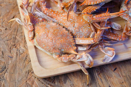 Hot Steamed crabs on wooden dish, Selective focusの写真素材