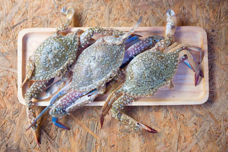 Fresh blue crabs on wood tray from seafood market in Thailandの写真素材