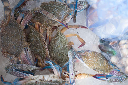 Blue crab in ice for sale on marketの写真素材