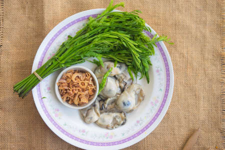 Thai local food fresh oyster on a plate with vegetableの写真素材