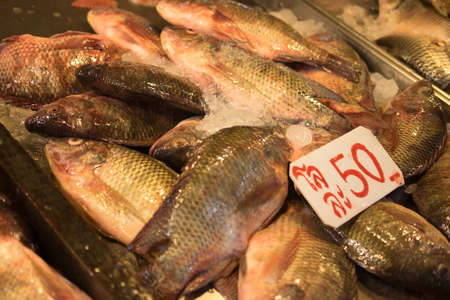 Tilapia fish fresh in ice sell on market, Thailand