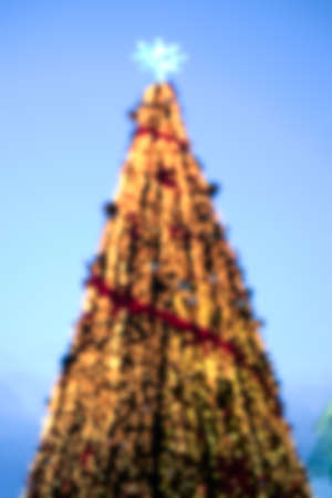 Blur background Christmas tree with blue sky backgroundの写真素材